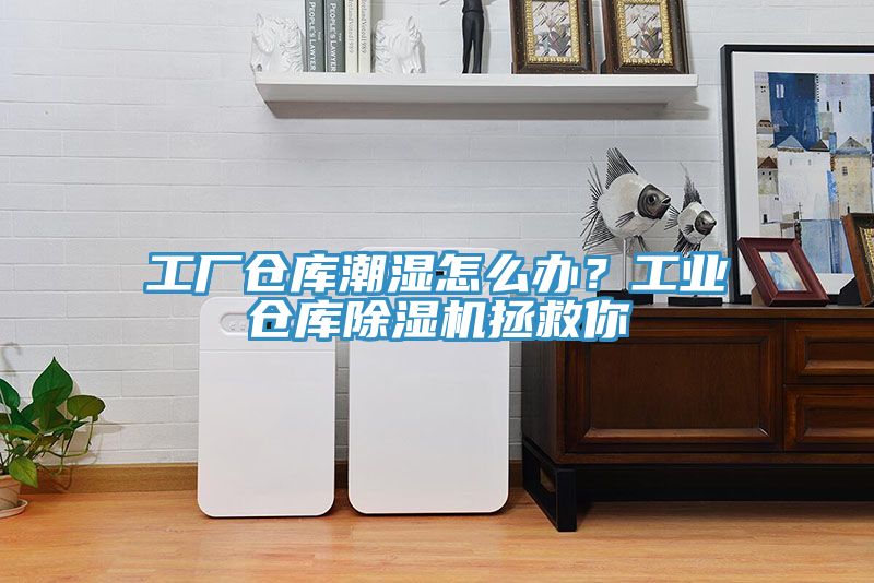 工厂仓库潮湿怎么办？工业仓库小黄片直播视频拯救你