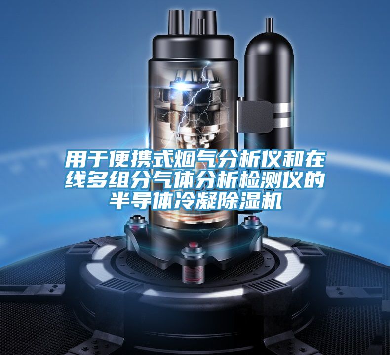 用于便携式烟气分析仪和在线多组分气体分析检测仪的半导体冷凝小黄片直播视频