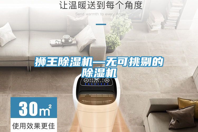 狮王小黄片直播视频—无可挑剔的小黄片直播视频