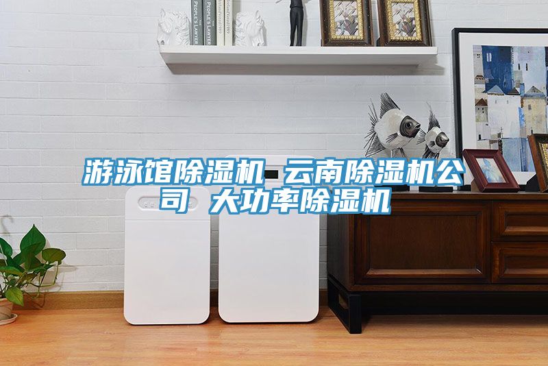 游泳馆小黄片直播视频 云南小黄片直播视频公司 大功率小黄片直播视频