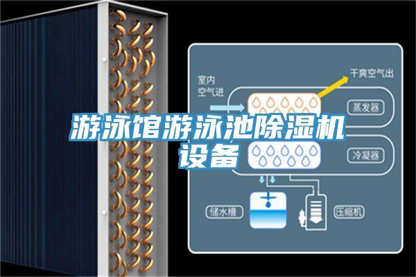 游泳馆游泳池小黄片直播视频设备