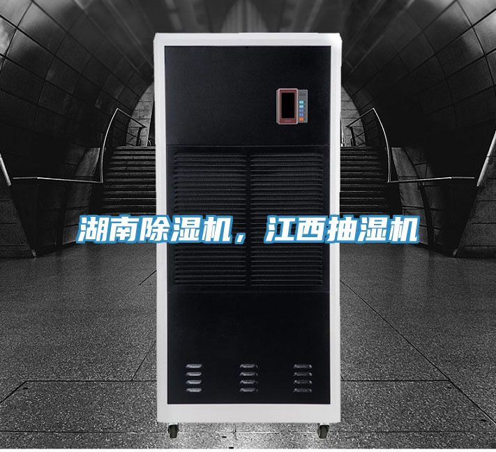 湖南小黄片直播视频，江西抽湿机
