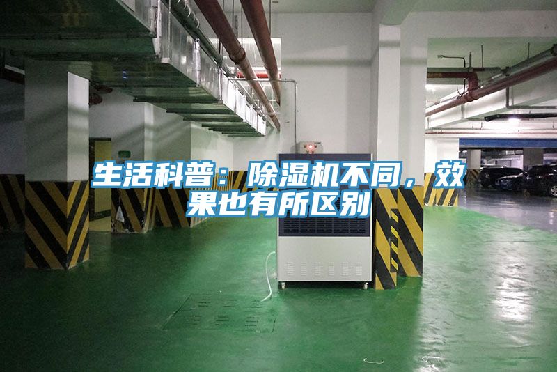 生活科普：小黄片直播视频不同，效果也有所区别