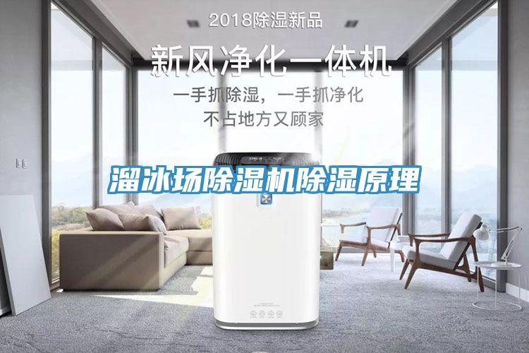 溜冰场小黄片直播视频除湿原理