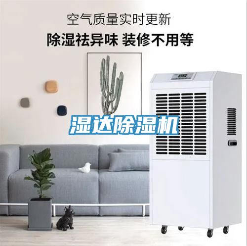 湿达小黄片直播视频