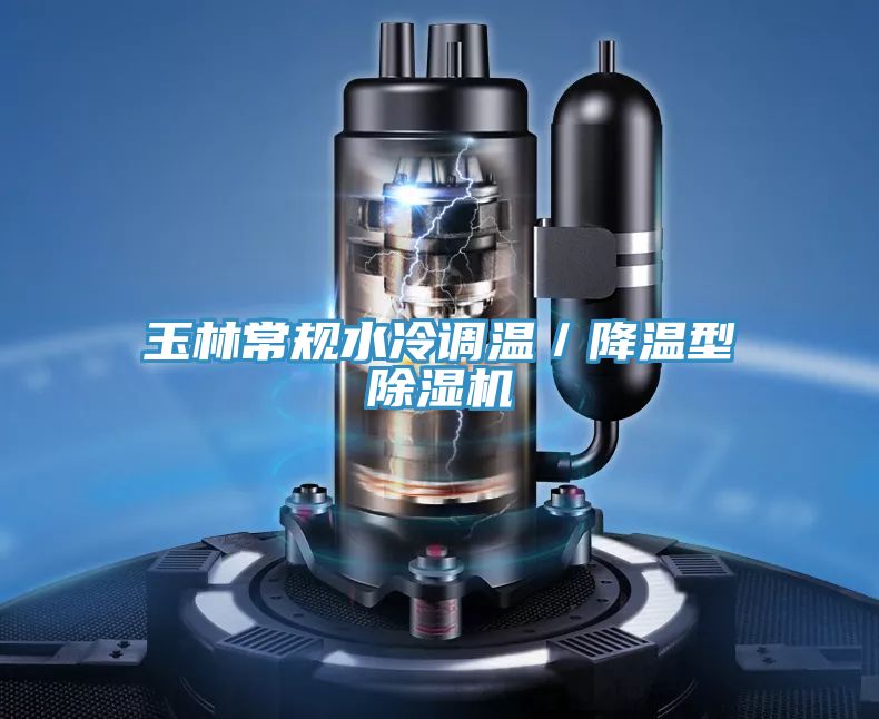 玉林常规水冷调温／降温型小黄片直播视频