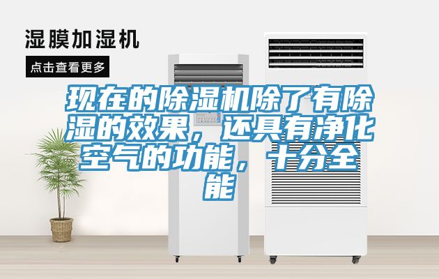 现在的小黄片直播视频除了有除湿的效果，还具有净化空气的功能，十分全能