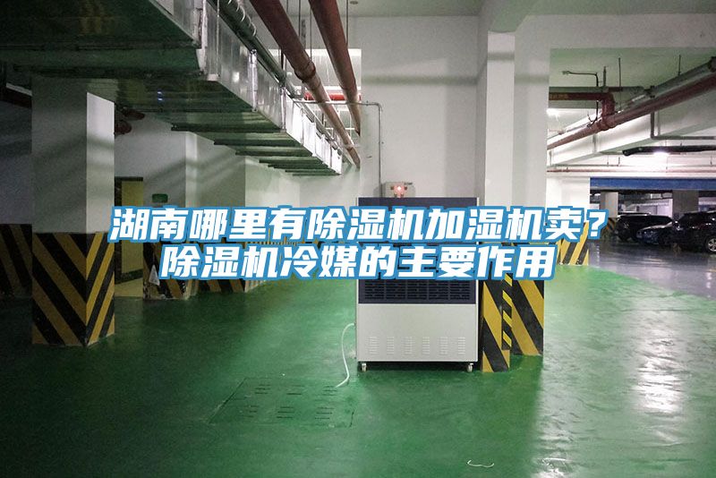 湖南哪里有小黄片直播视频加湿机卖？小黄片直播视频冷媒的主要作用