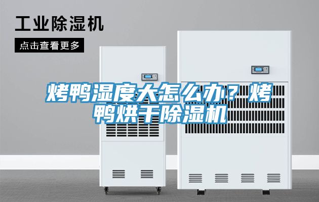 烤鸭湿度大怎么办？烤鸭烘干小黄片直播视频