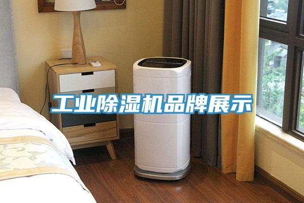 工业小黄片直播视频品牌展示