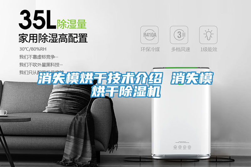 消失模烘干技术介绍 消失模烘干小黄片直播视频