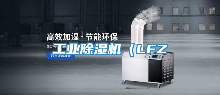 工业小黄片直播视频（LFZ