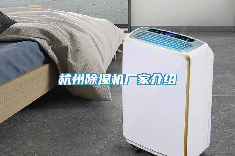 杭州小黄片直播视频厂家介绍