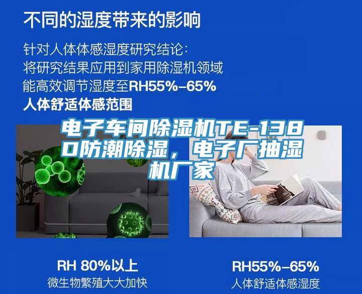 电子车间小黄片直播视频TE-138D防潮除湿，电子厂抽湿机厂家