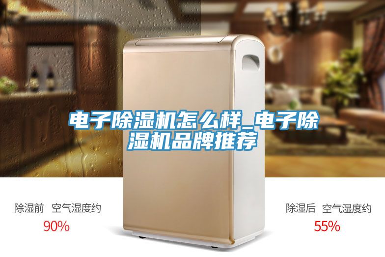 电子小黄片直播视频怎么样_电子小黄片直播视频品牌推荐