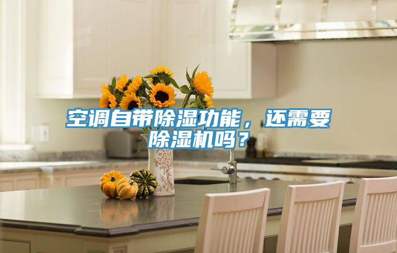 空调自带除湿功能，还需要小黄片直播视频吗？