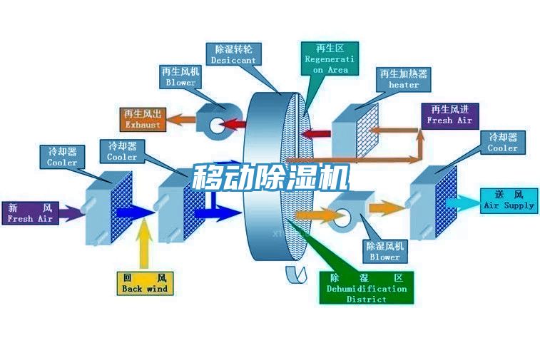 移动小黄片直播视频