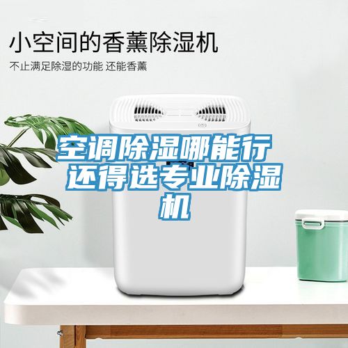 空调除湿哪能行 还得选专业小黄片直播视频