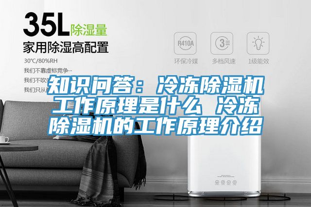 知识问答：冷冻小黄片直播视频工作原理是什么 冷冻小黄片直播视频的工作原理介绍