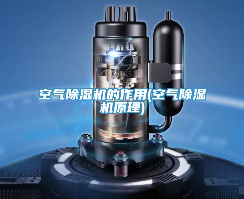 空气小黄片直播视频的作用(空气小黄片直播视频原理)