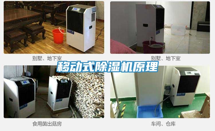 移动式小黄片直播视频原理