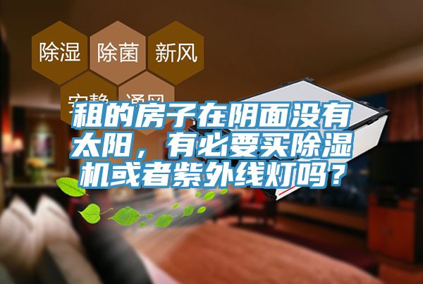 租的房子在阴面没有太阳，有必要买小黄片直播视频或者紫外线灯吗？