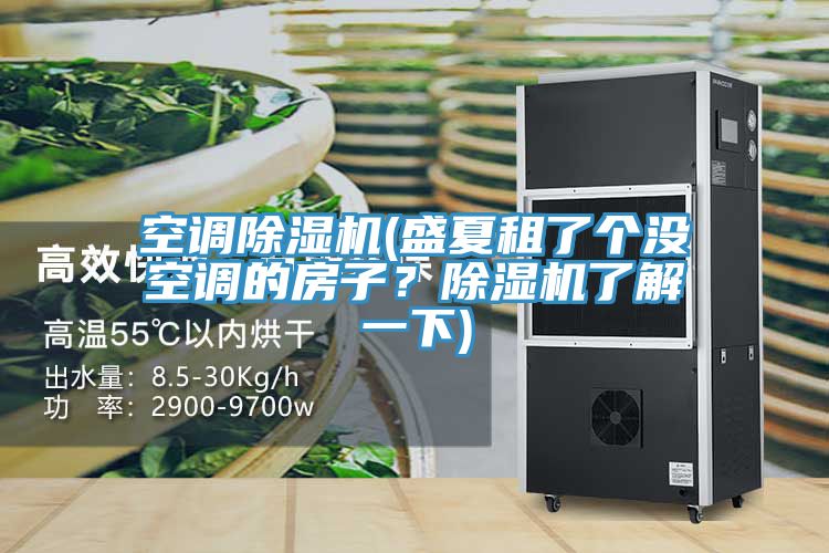 空调小黄片直播视频(盛夏租了个没空调的房子？小黄片直播视频了解一下)