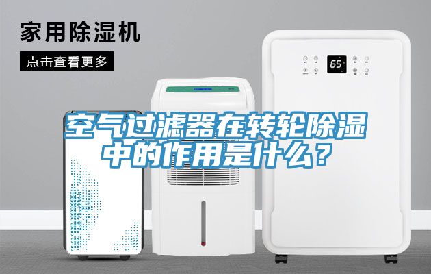 空气过滤器在转轮除湿中的作用是什么？