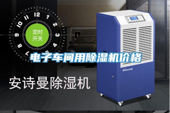 电子车间用小黄片直播视频价格