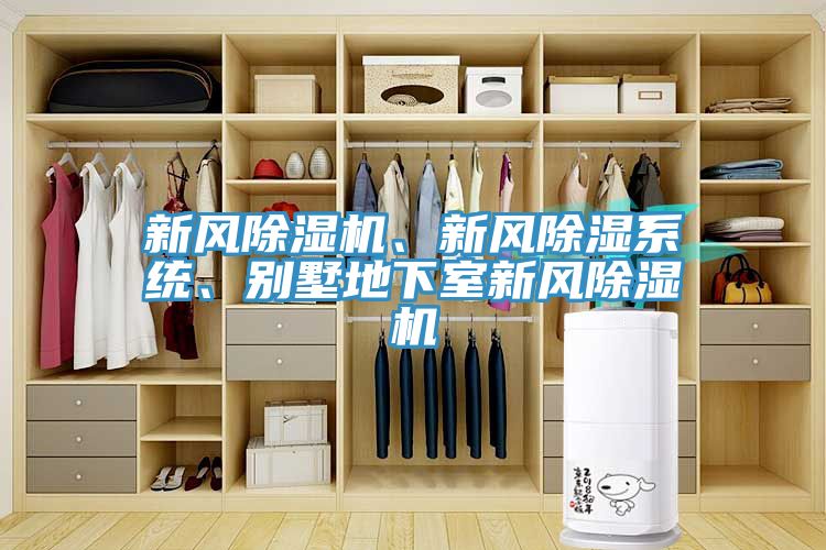 新风小黄片直播视频、新风除湿系统、别墅地下室新风小黄片直播视频