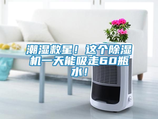 潮湿救星！这个小黄片直播视频一天能吸走60瓶水！