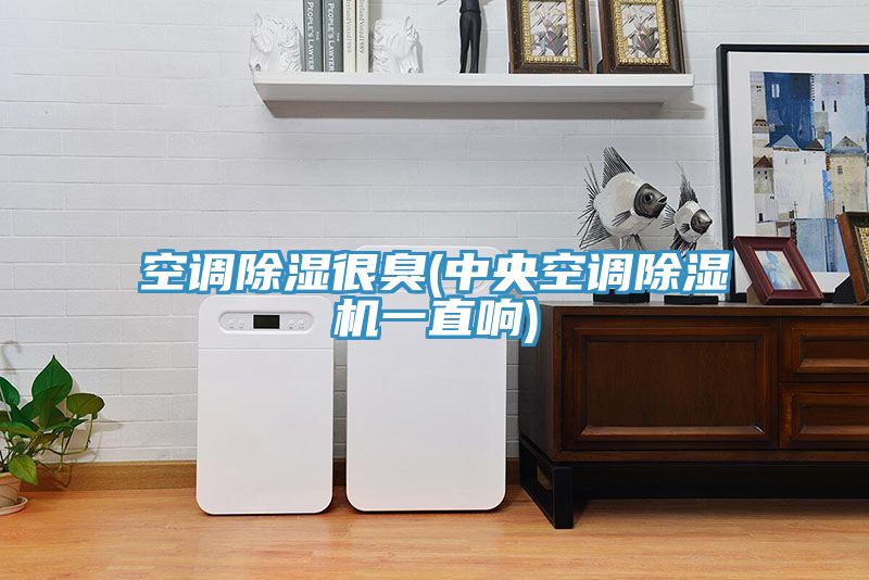 空调除湿很臭(中央空调小黄片直播视频一直响)