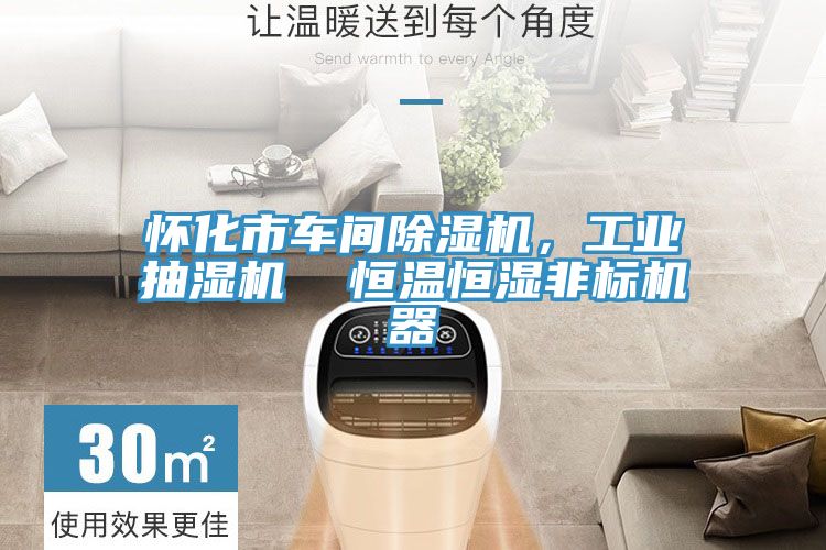 怀化市车间小黄片直播视频，工业抽湿机  恒温恒湿非标机器