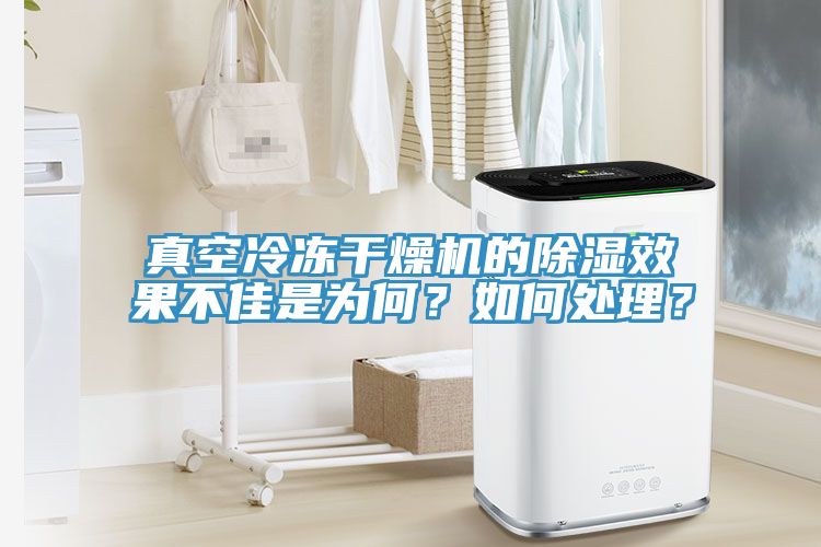 真空冷冻干燥机的除湿效果不佳是为何？如何处理？
