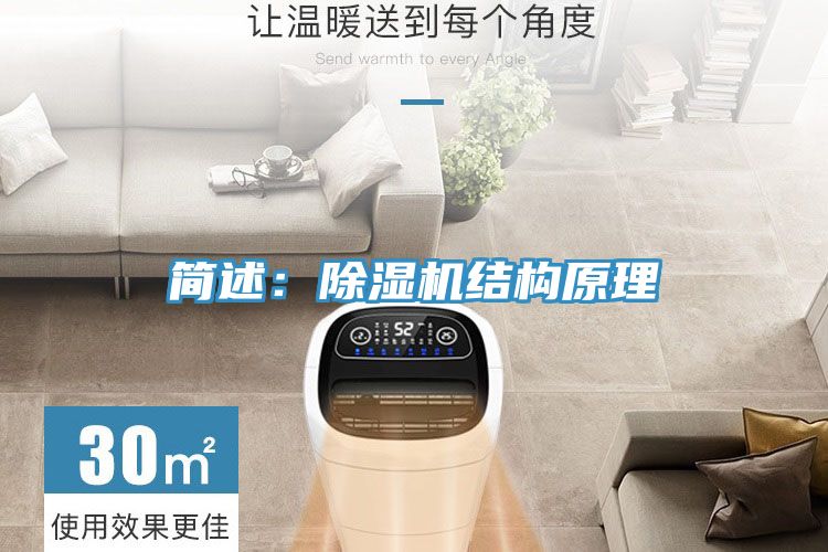 简述：小黄片直播视频结构原理
