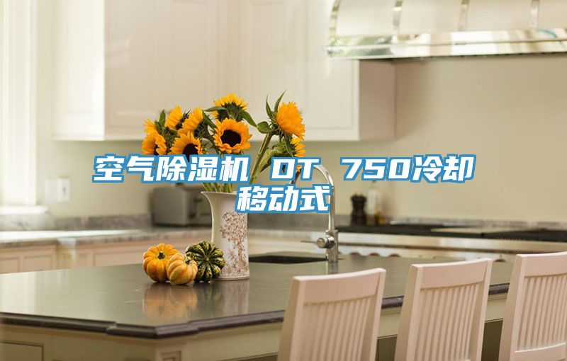 空气小黄片直播视频 DT 750冷却移动式