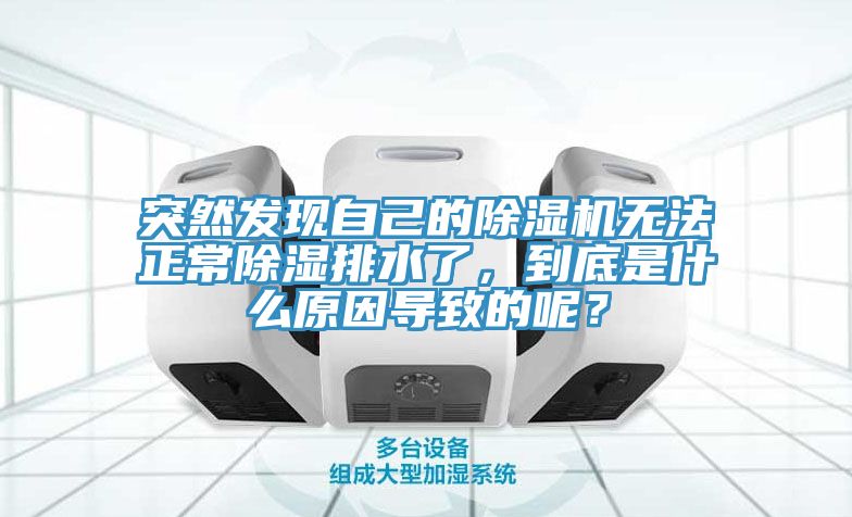 突然发现自己的小黄片直播视频无法正常除湿排水了，到底是什么原因导致的呢？