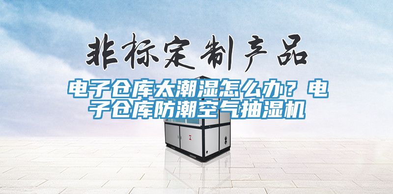 电子仓库太潮湿怎么办？电子仓库防潮空气抽湿机