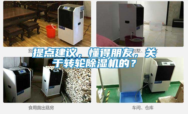 提点建议，懂得朋友，关于转轮小黄片直播视频的？