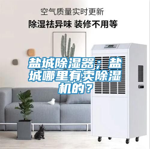 盐城除湿器；盐城哪里有卖小黄片直播视频的？