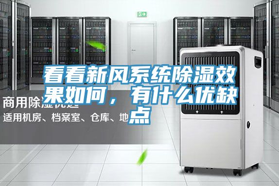 看看新风系统除湿效果如何，有什么优缺点