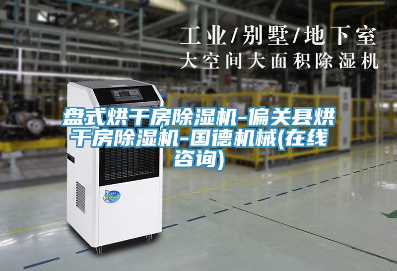 盘式烘干房小黄片直播视频-偏关县烘干房小黄片直播视频-国德机械(在线咨询)