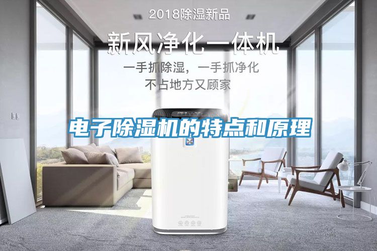 电子小黄片直播视频的特点和原理