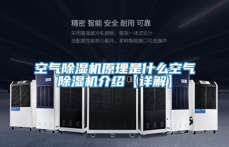 空气小黄片直播视频原理是什么空气小黄片直播视频介绍【详解】