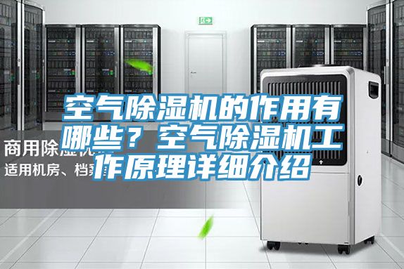 空气小黄片直播视频的作用有哪些？空气小黄片直播视频工作原理详细介绍