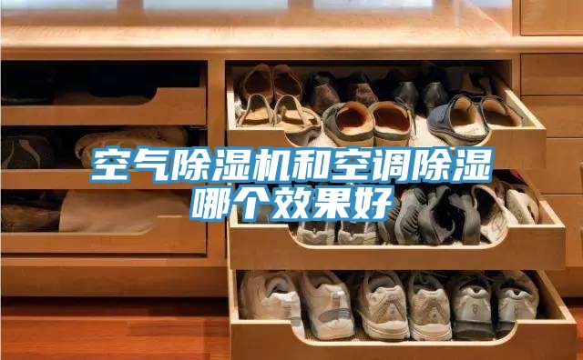 空气小黄片直播视频和空调除湿哪个效果好