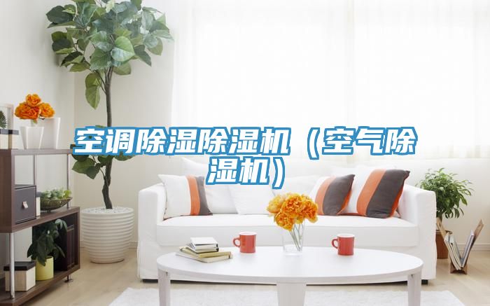 空调除湿小黄片直播视频（空气小黄片直播视频）