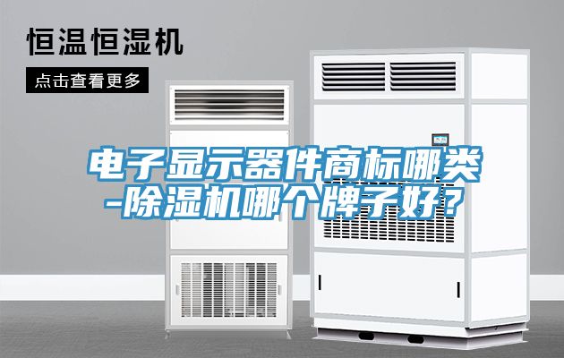 电子显示器件商标哪类-小黄片直播视频哪个牌子好？