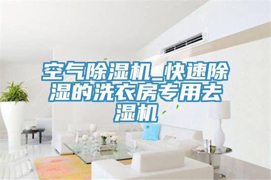 空气小黄片直播视频_快速除湿的洗衣房专用去湿机