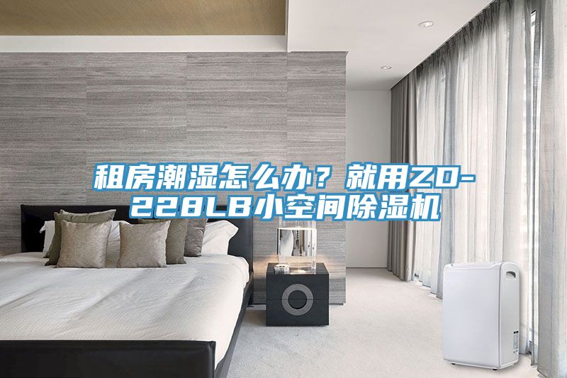 租房潮湿怎么办？就用ZD-228LB小空间小黄片直播视频